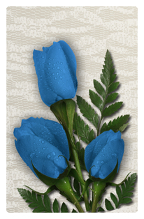 DF35T 051 2 Roses Blue